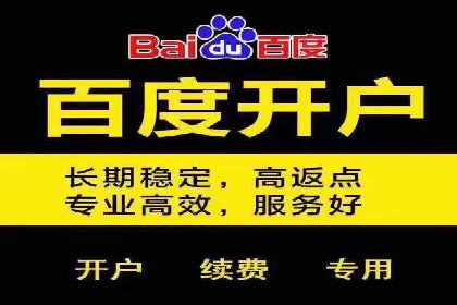 百度竞价运营实战案例分析
