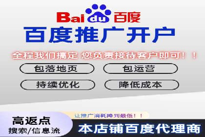 百度推广收费策略调整：案例分析及实战建议